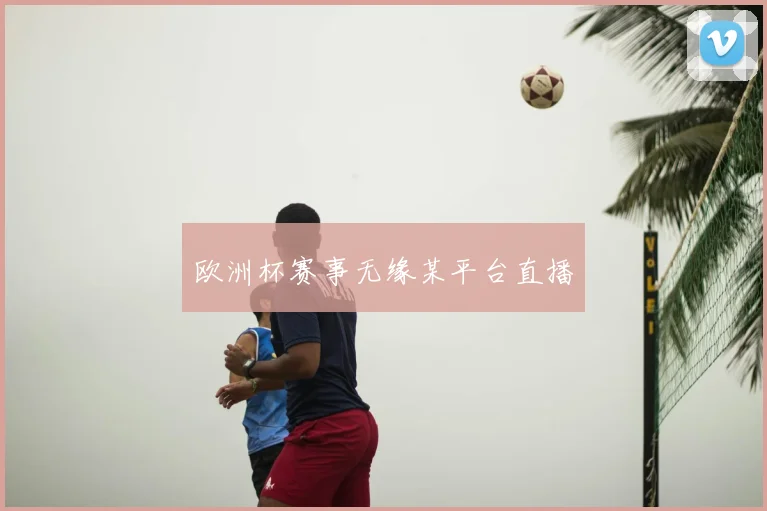 欧洲杯赛事无缘某平台直播